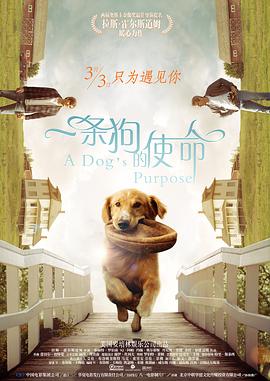 逍遥sm女紧缚圈坛