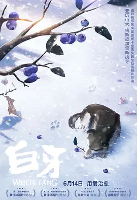 不卡在线视频