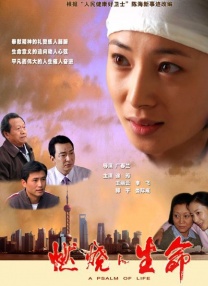 国产精品中文字幕在线