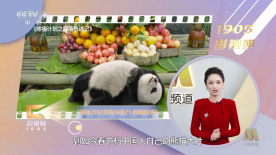 伊人草草